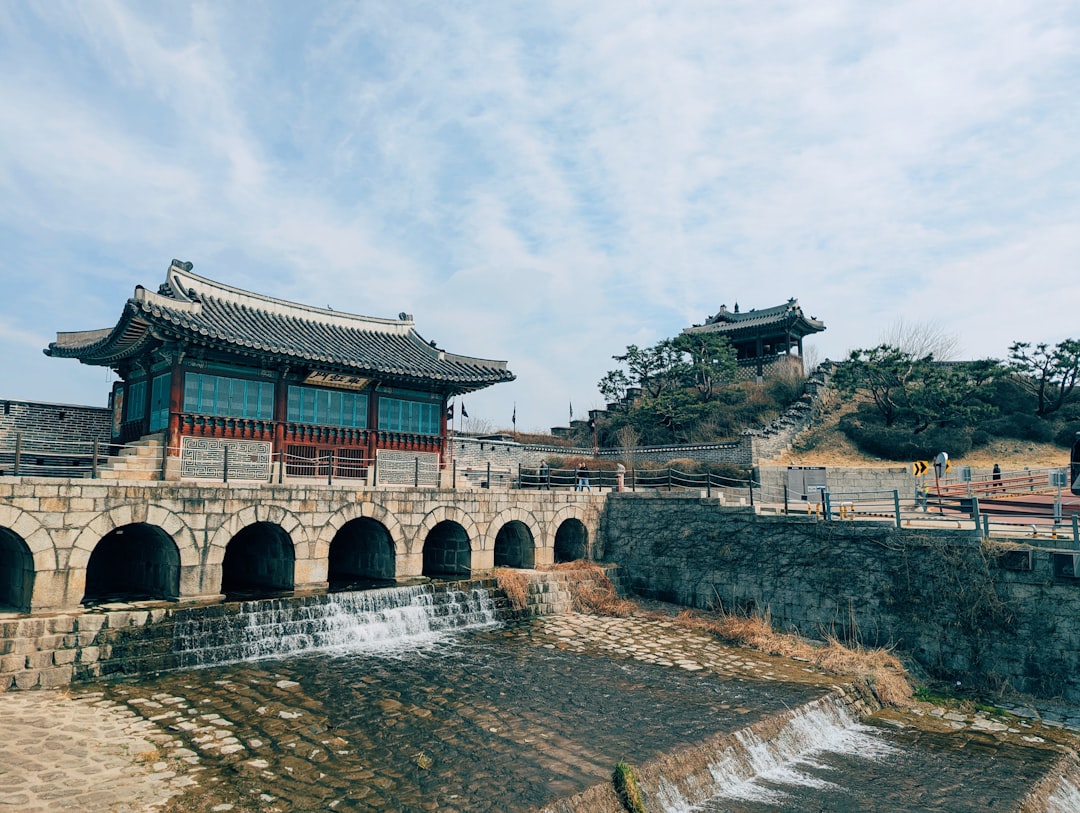 여행용 필수 아이템 여행용 필수 아이템