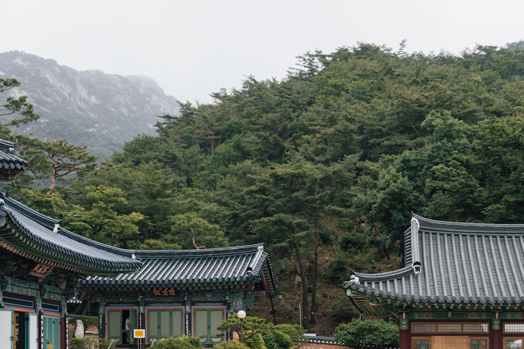 여행 필수 아이템 여행 필수 아이템