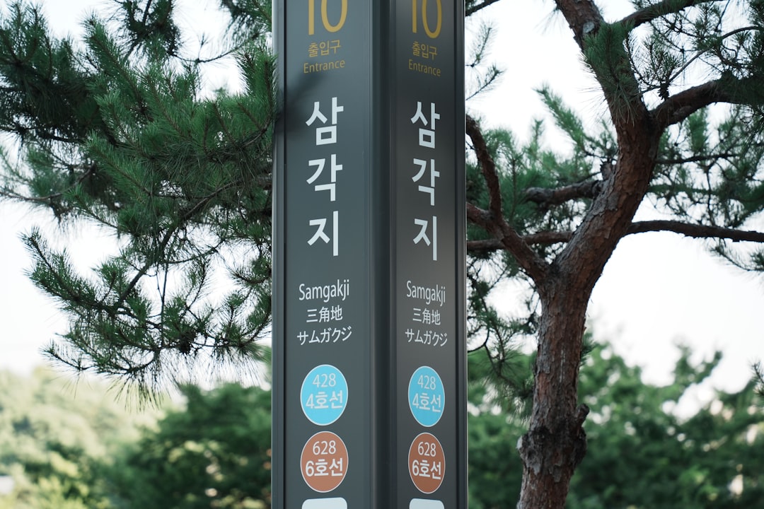 올리브영 필수 아이템