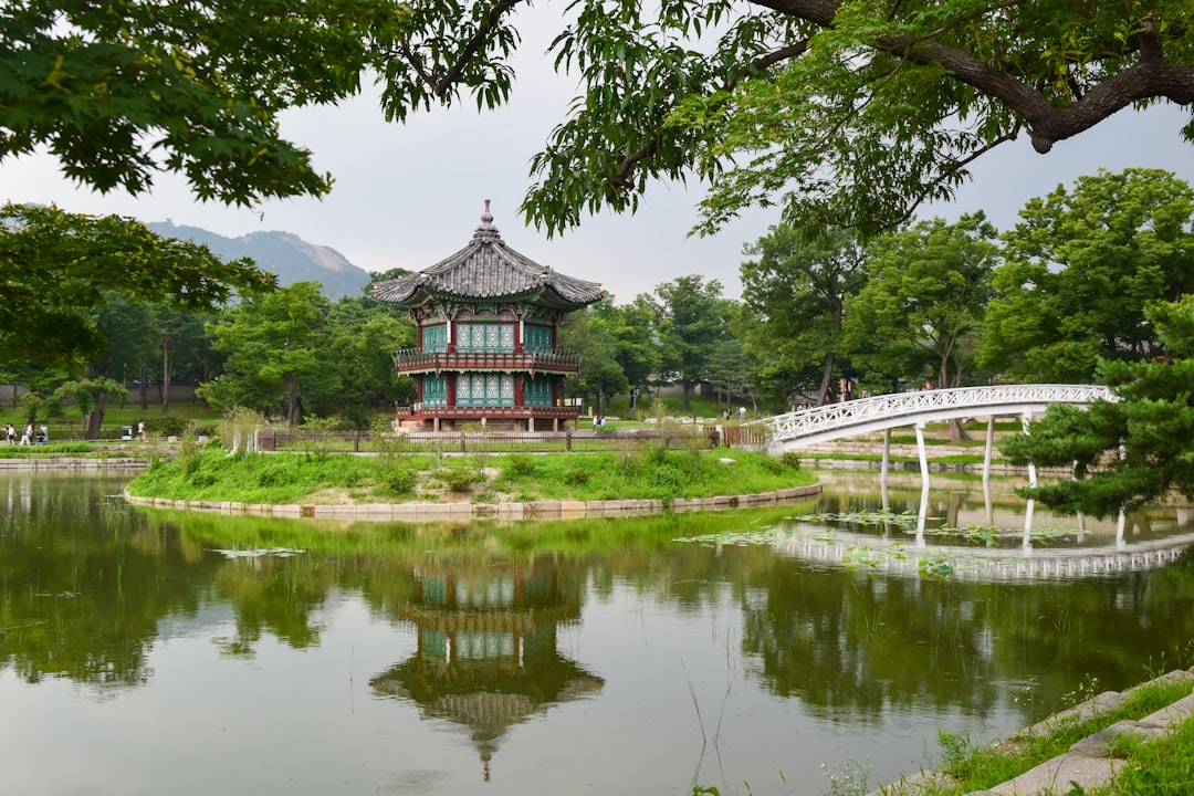 여행 필수 아이템 여행 필수 아이템